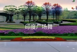 印度广场舞
