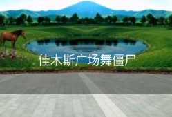 佳木斯广场舞僵尸