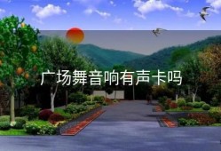 广场舞音响有声卡吗