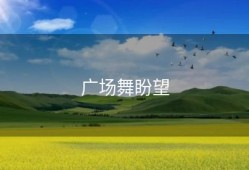 广场舞盼望