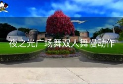 夜之光广场舞双人舞慢动作