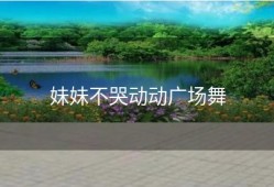 妹妹不哭动动广场舞
