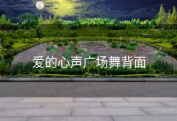 爱的心声广场舞背面