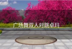 广场舞双人对跳卓玛