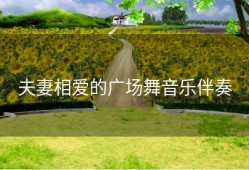 夫妻相爱的广场舞音乐伴奏