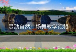 灵动自然广场舞教学视频