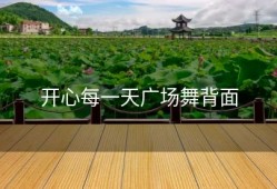 开心每一天广场舞背面