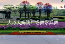 大叔大妈跳广场舞水兵舞