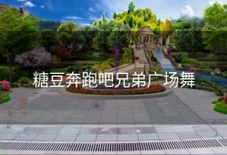 糖豆奔跑吧兄弟广场舞
