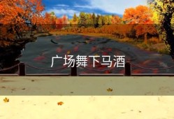 广场舞下马酒