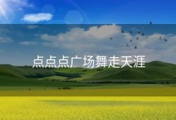 点点点广场舞走天涯