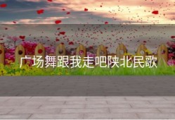 广场舞跟我走吧陕北民歌