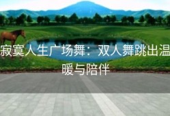 寂寞人生广场舞：双人舞跳出温暖与陪伴