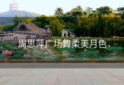 周思萍广场舞柔美月色