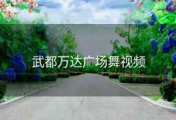 武都万达广场舞视频