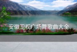 安徽卫视广场舞歌曲大全