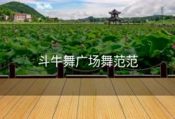 斗牛舞广场舞范范