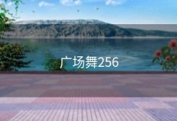 广场舞256