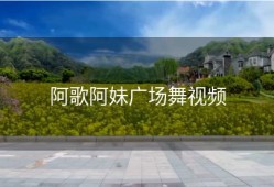 阿歌阿妹广场舞视频