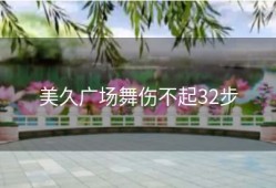 美久广场舞伤不起32步