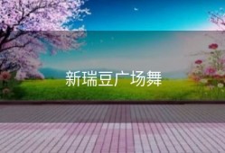 新瑞豆广场舞