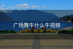 广场舞牛什么牛视频