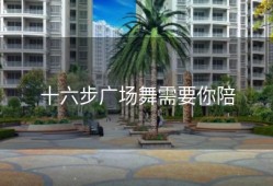 十六步广场舞需要你陪