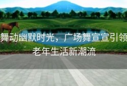 舞动幽默时光，广场舞宣宣引领老年生活新潮流