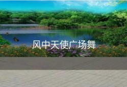 风中天使广场舞