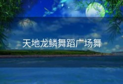 天地龙鳞舞蹈广场舞