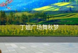 丁姐广场舞秋梦