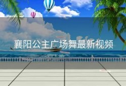襄阳公主广场舞最新视频