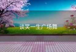 谈笑一生广场舞
