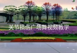关节损伤广场舞视频教学
