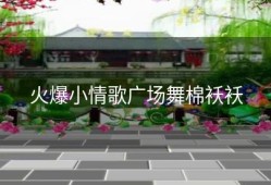 火爆小情歌广场舞棉袄袄