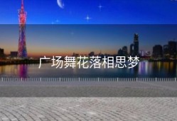 广场舞花落相思梦