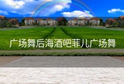 广场舞后海酒吧菲儿广场舞