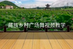 藏族乡村广场舞视频教学