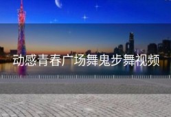 动感青春广场舞鬼步舞视频