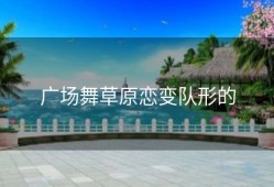 广场舞草原恋变队形的