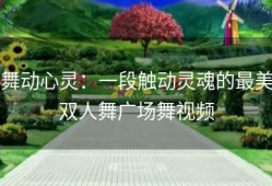 舞动心灵：一段触动灵魂的最美双人舞广场舞视频