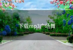 下载mp3广场舞