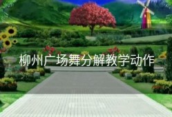 柳州广场舞分解教学动作