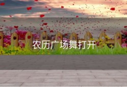 农历广场舞打开