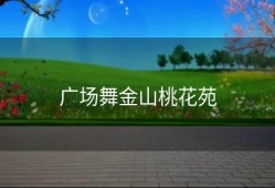 广场舞金山桃花苑