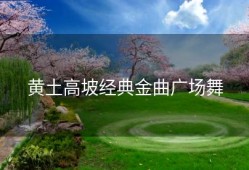 黄土高坡经典金曲广场舞