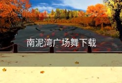 南泥湾广场舞下载