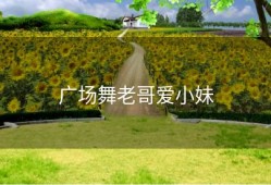 广场舞老哥爱小妹