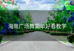 海南广场舞简单好看教学