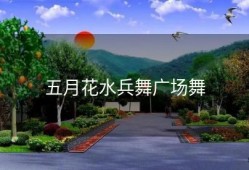 五月花水兵舞广场舞